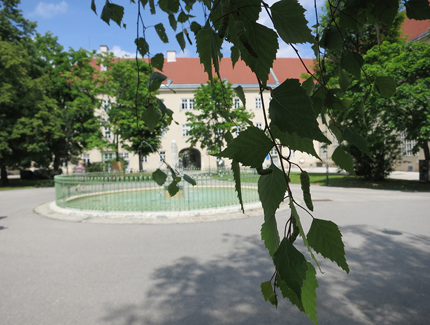 wien7